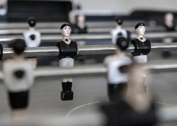 A Bordeaux, Climatisée Avec Billard Le Bouscat